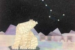 1_Polar.LoRes_